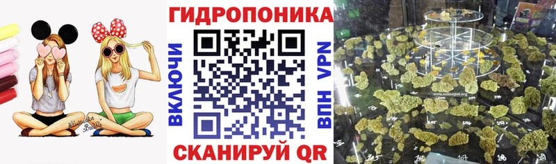 Бошки Шишки семена  Купить  Тавда 